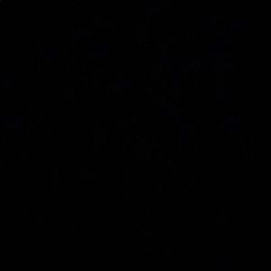 Meet your Posher, Annamarie